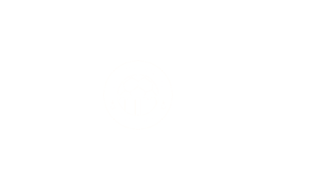 Meilleurs Vœux Pays de Châteaulin Handball